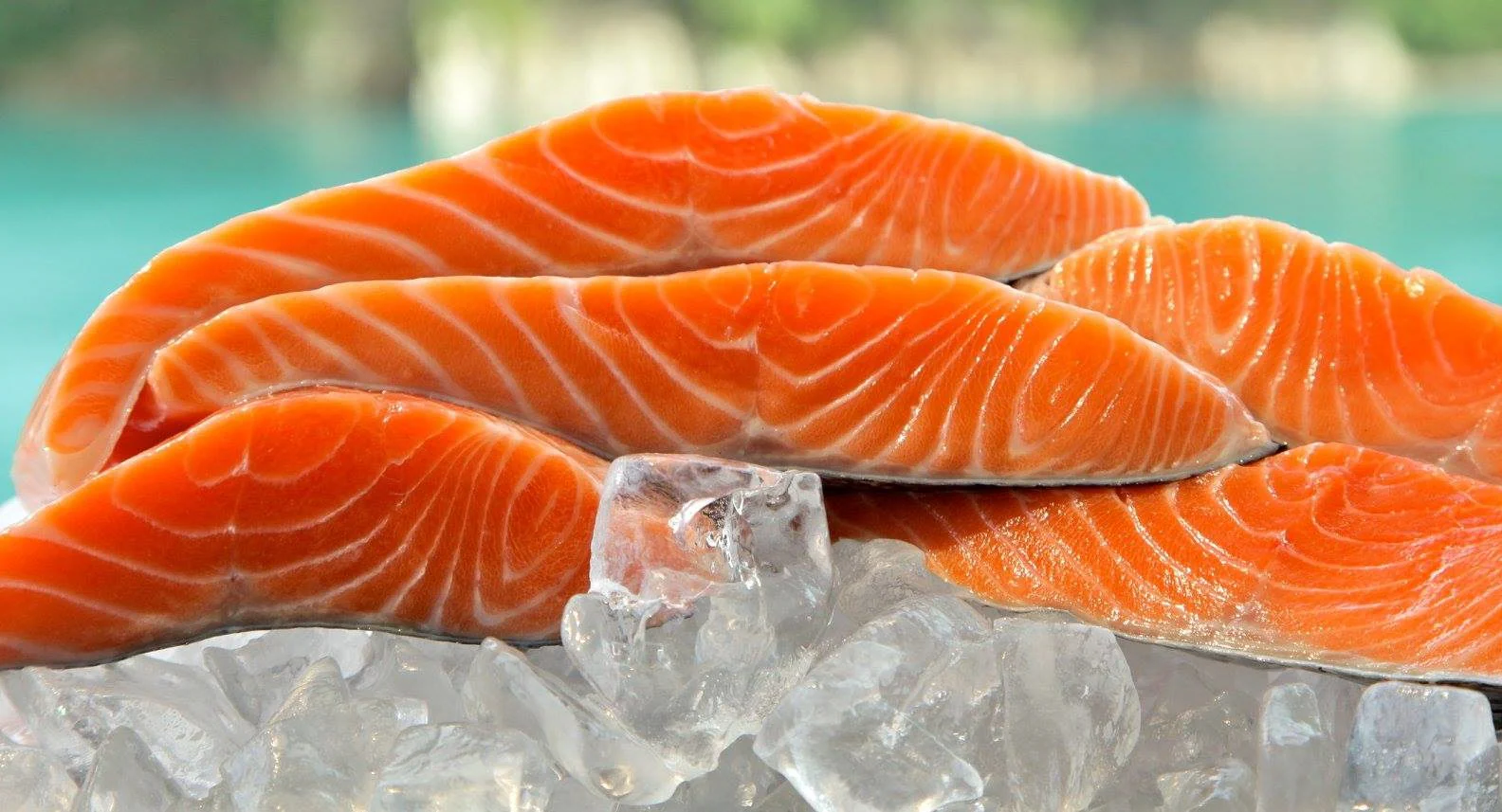 Ora King Salmon (2-8oz Filets) - Image 4